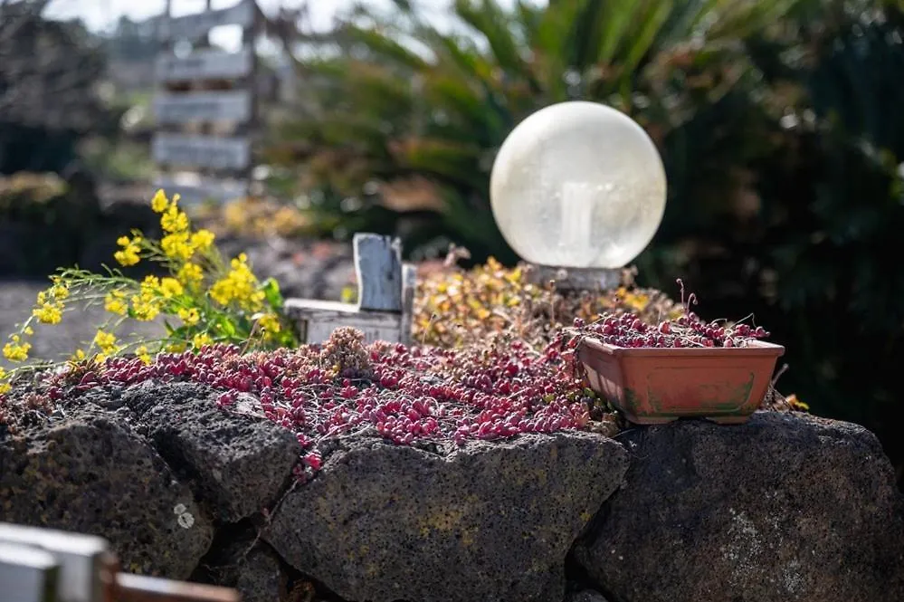 Konukevi Opdega By Equinox Otel Jeju Güney Kore